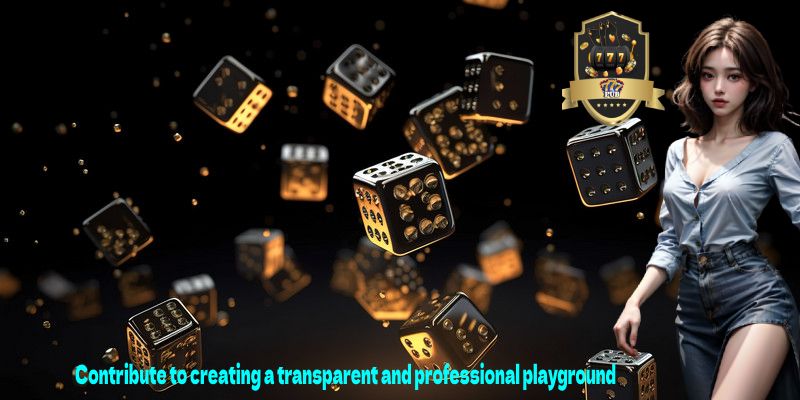 Contribute to creating a transparent and professional playground 