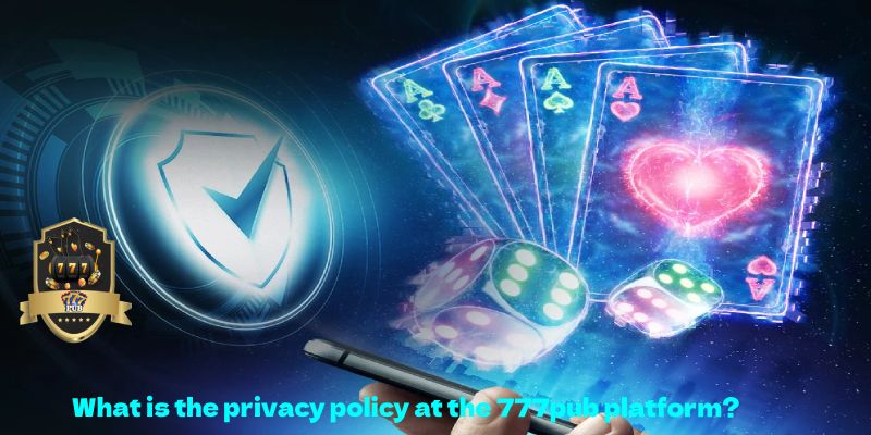 What is the privacy policy at the 777pub platform?