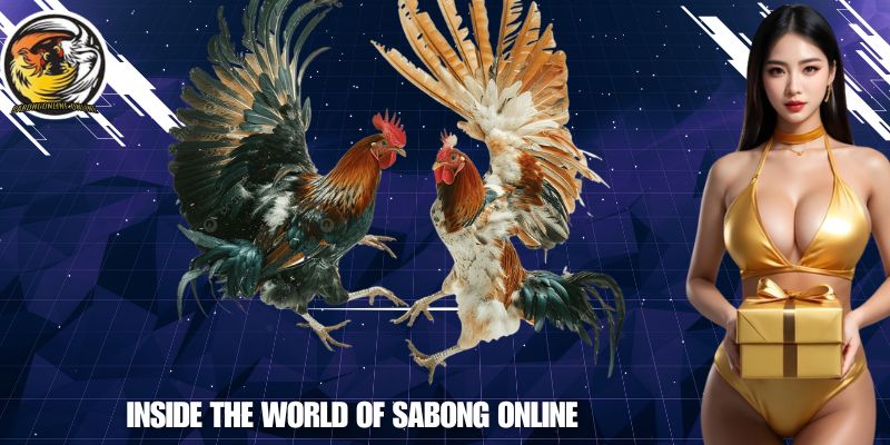Inside the World of SABONG ONLINE
