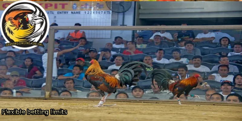 Du-an-Flexible-betting-limitsmoi.