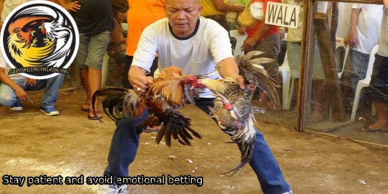 Stay-patient-and-avoid-emotional-betting.