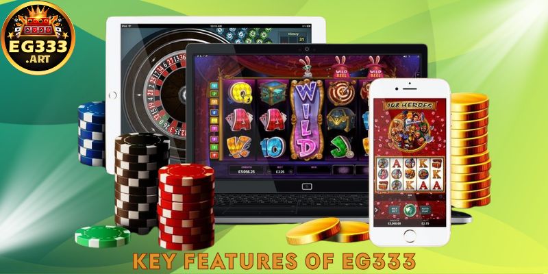 Key Features of EG333